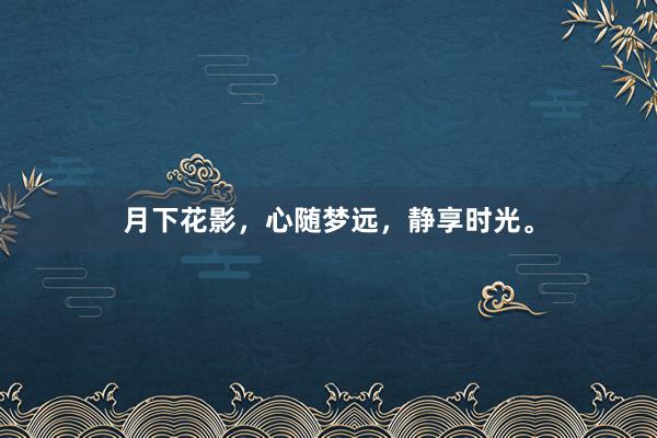 月下花影，心随梦远，静享时光。