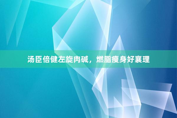 汤臣倍健左旋肉碱，燃脂瘦身好襄理