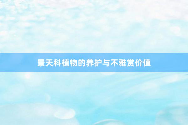 景天科植物的养护与不雅赏价值