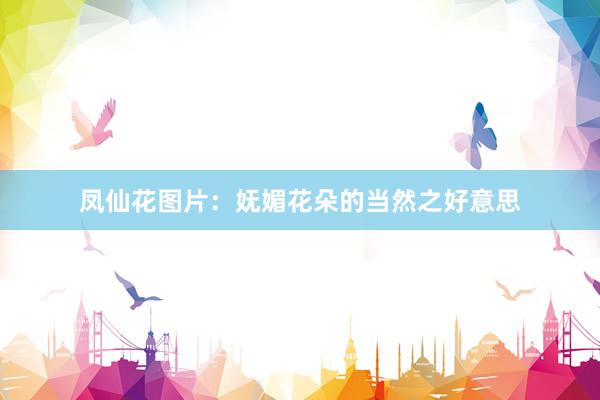 凤仙花图片：妩媚花朵的当然之好意思